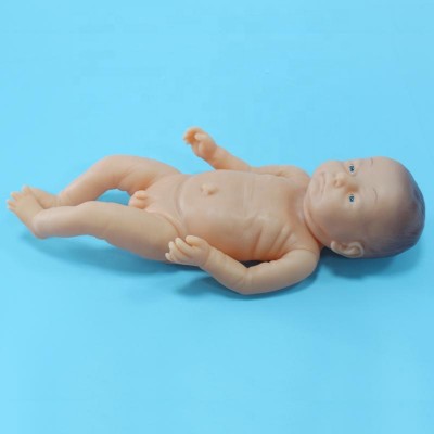 Full-term Baby Model (Boy)