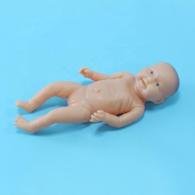 Newborn Baby Model (Girl)