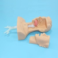 Advanced Suction Training model